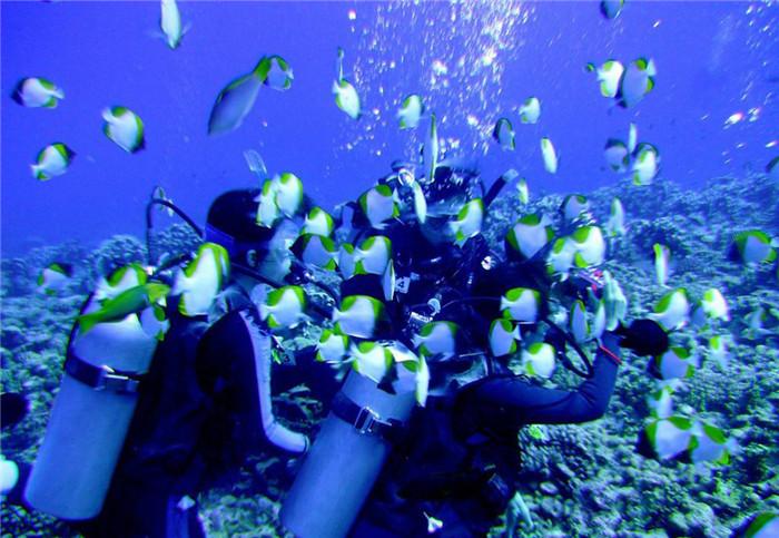 在戈壁深处拥抱星辰——中国西北打造航天主题文旅产业链